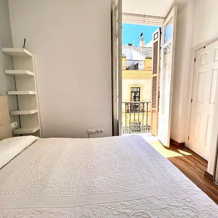 Historic Center Cathedral *